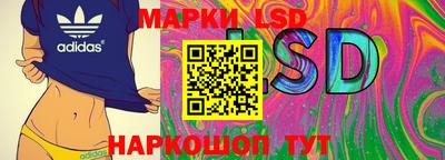 ALPHA-PVP Камышлов
