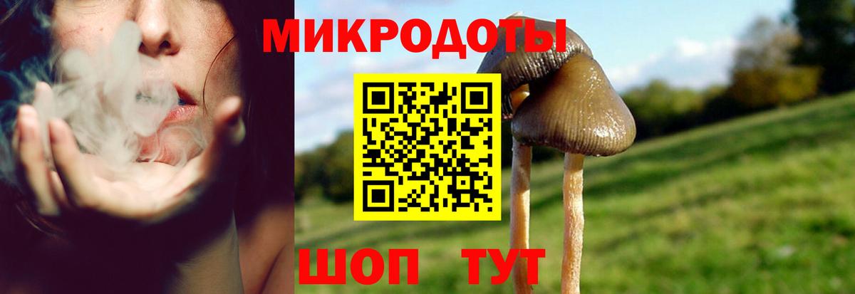 Псилоцибиновые грибы Magic Shrooms Верхняя Салда